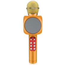 Riff WS-1816 16W karaoke BT...