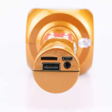 Riff WS-1816 16W karaoke BT microphone with LED 360 Gold