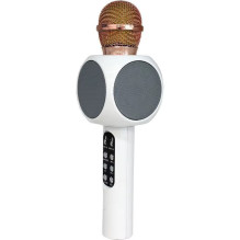 Riff WS-1816 16W karaoke BT...