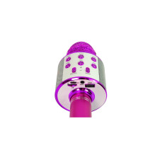Riff WS-858 Karaoke Microphone with Speakers Aux and Micro SD Pink