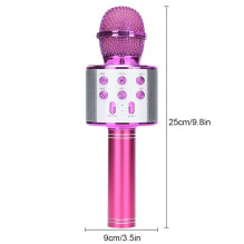 Riff WS-858 Karaoke Microphone with Speakers Aux and Micro SD Pink