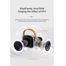 Riff K12 Portable BT Karaoke System with 2 Wireless mics Pink