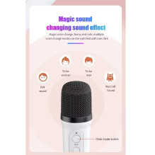 Riff YS110 BT 5.3 Portable Karaoke system with 2 Wireless mics White