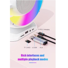 Riff YS110 BT 5.3 Portable Karaoke system with 2 Wireless mics White