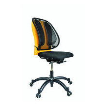 Fellowes - back support...