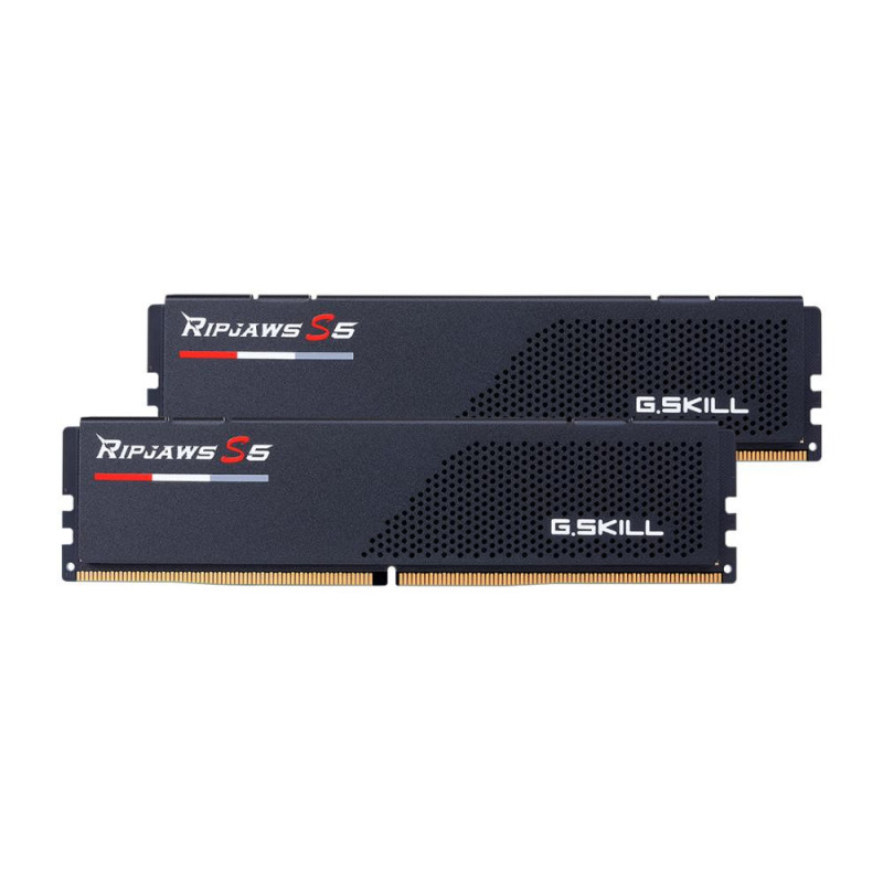 G.Skill Ripjaws S5 64 Kit (32GBx2) GB DDR5 6000 MHz PC / server Registered No ECC No