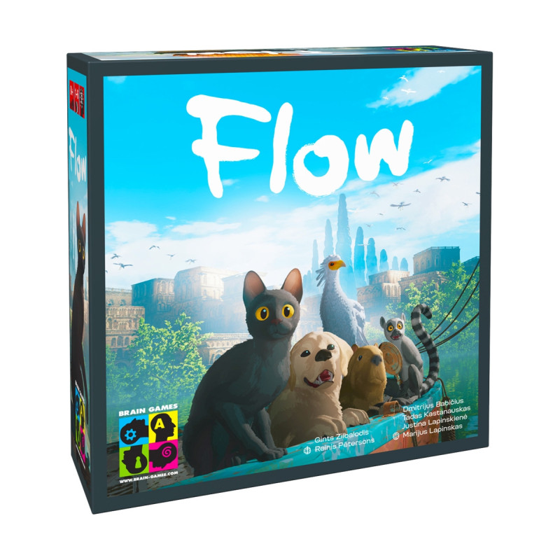 Brain Games Flow