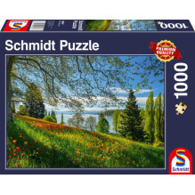 Schmidt puzzle Contour...