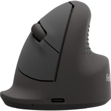 MOUSE USB OPTICAL WRL...