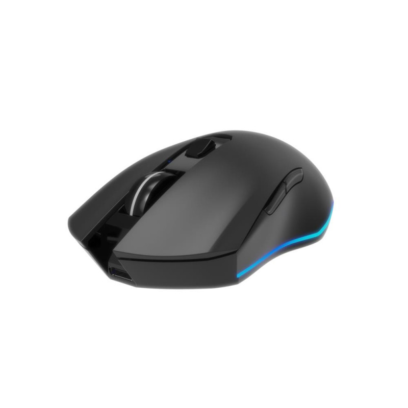 Datorpele Gembird RGB Firebolt Black 8716309133210
