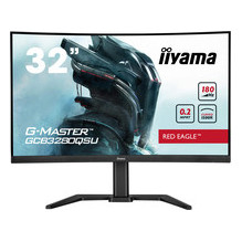 iiyama G-Master...