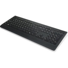 LENOVO Professional...