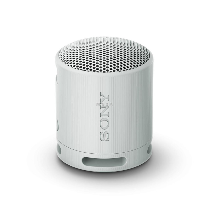 Sony SRS-XB100 Grey