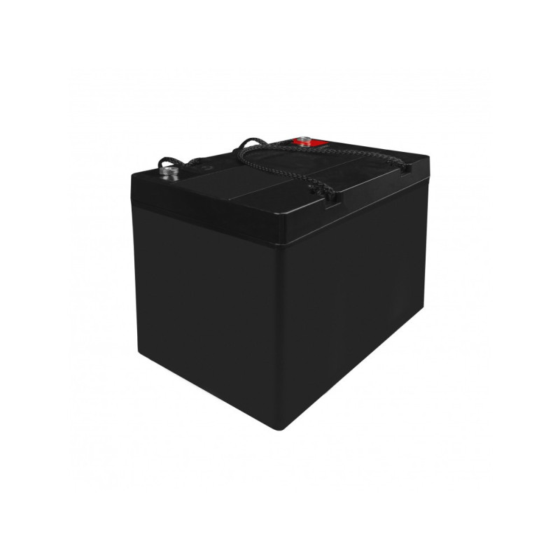 Green Cell AGM Battery Lead Acid 12V 55Ah Maintenance Free for boat and dinghy