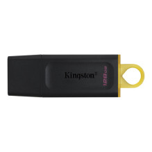 Kingston DataTraveler...
