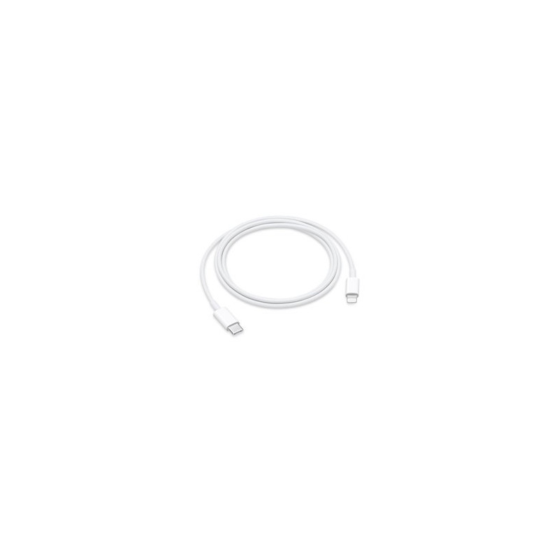 Apple USB-C to Lightning Cable (1m)
