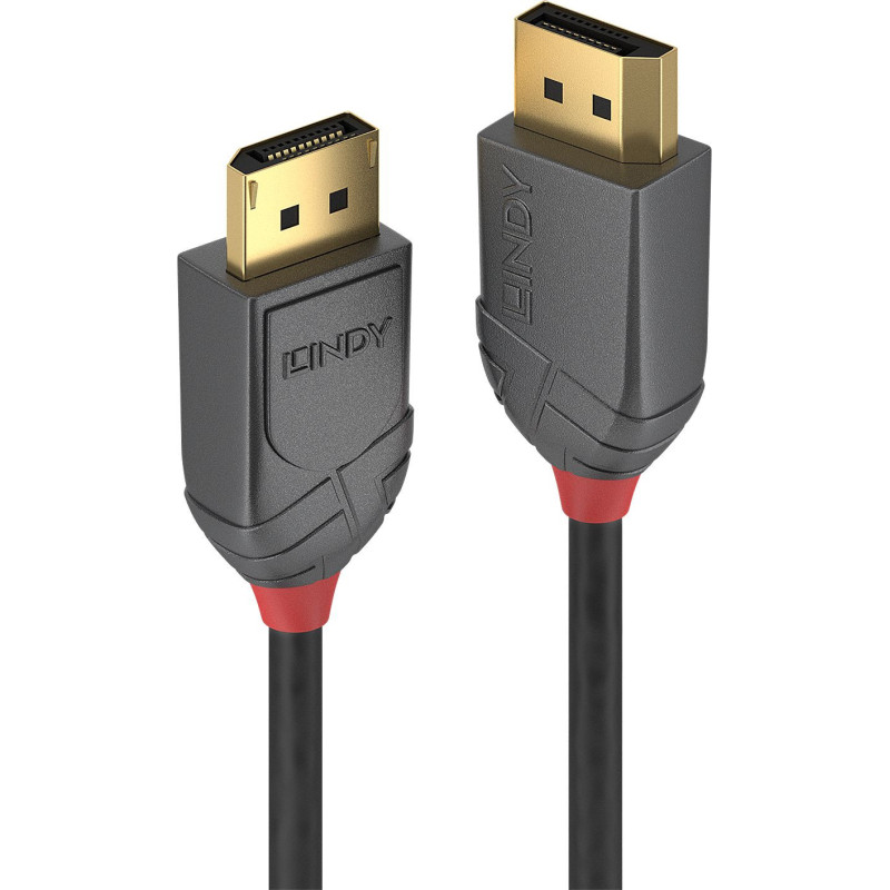 Lindy Anthra Line - DisplayPort cable - DisplayPort to DisplayPort - 2 m