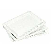 10 CARDBOARD PLATES 20X13CM...