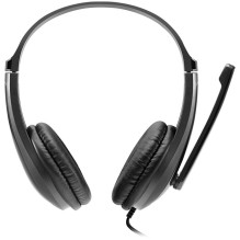 CANYON PC ausinės CHSU-1 PC Mic USB 2m Black