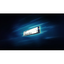 Kingston Technology 500G...