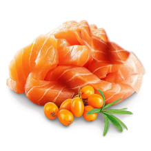 SHELMA Kitten with salmon in sauce - wet cat food - 85g SHELMA Kitten with salmon in sauce - wet cat food - 85g