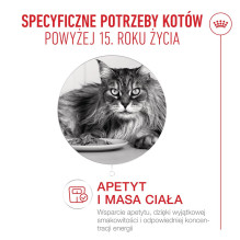 ROYAL CANIN sausas kačių ėdalas nuo 15 metų – 4 kg ROYAL CANIN sausas kačių ėdalas nuo 15 metų – 4 kg