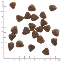 WOLFSBLUT Wide Plain Horse - sausas šunų ėdalas - 2 kg