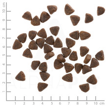 WOLFSBLUT Wide Plain mažų veislių arklių sausas ėdalas su saldžiosiomis bulvėmis - 7,5 kg WOLFSBLUT Wide Plain mažų veislių arklių sausas ėdalas su saldžiosiomis bulvėmis - 7,5 kg
