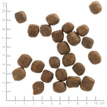 WOLFSBLUT Cold River Trout with sweet potatoes - dry dog food - 12,5kg WOLFSBLUT Cold River Trout with sweet potatoes - dry dog food - 12,5kg