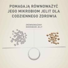 PURINA One Mini / Small Active sausas šunų ėdalas, gausus vištienos ir ryžių, 800 g PURINA One Mini / Small Active sausas šunų ėdalas, gausus vištienos ir ryžių, 800 g