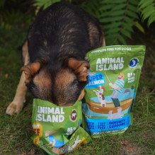ANIMAL ISLAND lašiša - sausas šunų ėdalas - 1 kg ANIMAL ISLAND lašiša - sausas šunų ėdalas - 1 kg