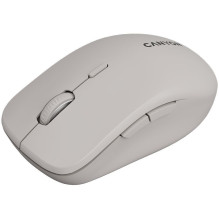 Canyon CANYON mouse MW-12 Dual band Wireless grey