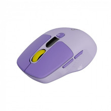 CANYON pelė MW-26 LCD tyli dvigubo režimo belaidė violetinė