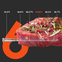 „Meatmeet S Pro“ virtuvės termometras su „Bluetooth“ programėle kepsninei, orkaitei, rūkyklai – pilkas