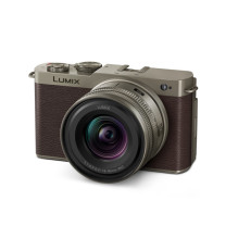 Panasonic Lumix DC-S9N +...
