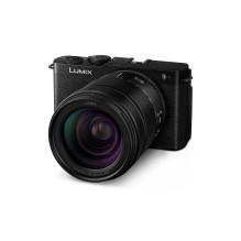 Panasonic Lumix DC-S9H +...