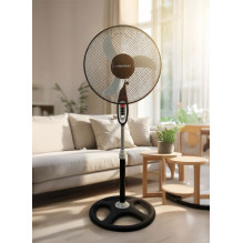 Esperanza EHF002KE, 16 '' standing fan, Black and Gray