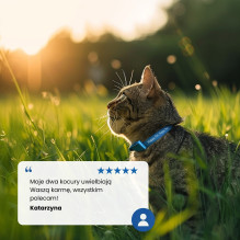 FARMINA ND CAT PRIME šernų ir obuolių pašaras 70 g FARMINA ND CAT PRIME šernų ir obuolių pašaras 70 g