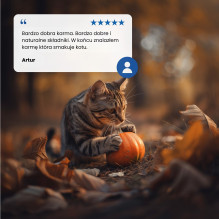 Farmina ND katėms antis ir moliūgas 70 g Farmina ND katėms antis ir moliūgas 70 g