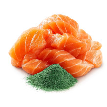 SHELMA with salmon in sauce - wet cat food - 85g