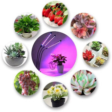 LED lamp for growing plants Reach 3X LED lamp for growing plants Reach 3X