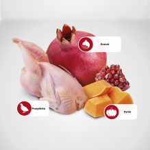 FARMINA Pumpkin ND Neutered Quail - sausas kačių ėdalas - 5 kg