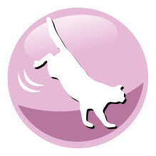 PREVITAL Senior Salmon - dry cat food - 1,4kg
