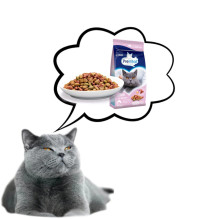 PREVITAL Senior Salmon - dry cat food - 1,4kg