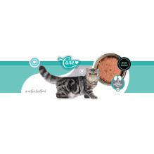 3COTY Chicken with duck Kidney care - wet cat food - 80g 3COTY Chicken with duck Kidney care - wet cat food - 80g