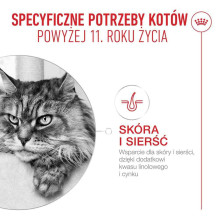 ROYAL CANIN Ageing 11+ šlapias kačių ėdalas gabaliukais padaže - 12 x 85 g ROYAL CANIN Ageing 11+ šlapias kačių ėdalas gabaliukais padaže - 12 x 85 g