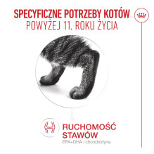 ROYAL CANIN sausas kačių ėdalas nuo 11 metų (2 kg) ROYAL CANIN sausas kačių ėdalas nuo 11 metų (2 kg)