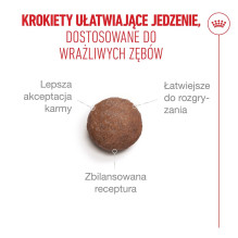 ROYAL CANIN sausas kačių ėdalas nuo 11 metų (2 kg) ROYAL CANIN sausas kačių ėdalas nuo 11 metų (2 kg)