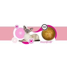 3COTY Į sveikatą! 62. Kalakutienos - šlapias kačių ėdalas - 160 g 3COTY Į sveikatą! 62. Kalakutienos - šlapias kačių ėdalas - 160 g