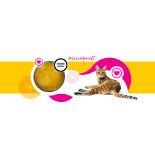 3COTY Cheers! 61. Chicken - wet cat food - 160g 3COTY Cheers! 61. Chicken - wet cat food - 160g
